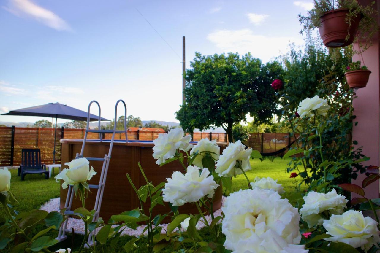 Rosinha Country House Vale de Cambra Exterior foto