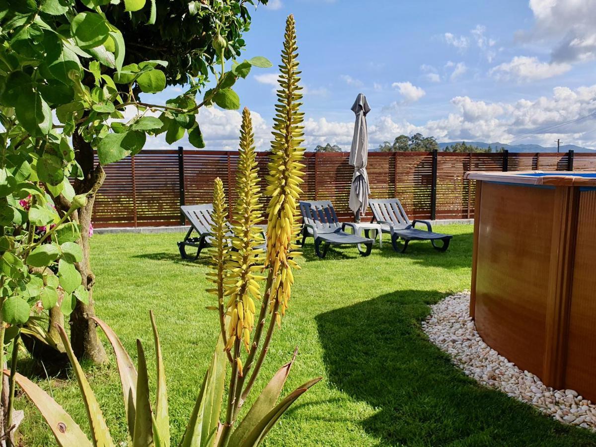 Rosinha Country House Vale de Cambra Exterior foto