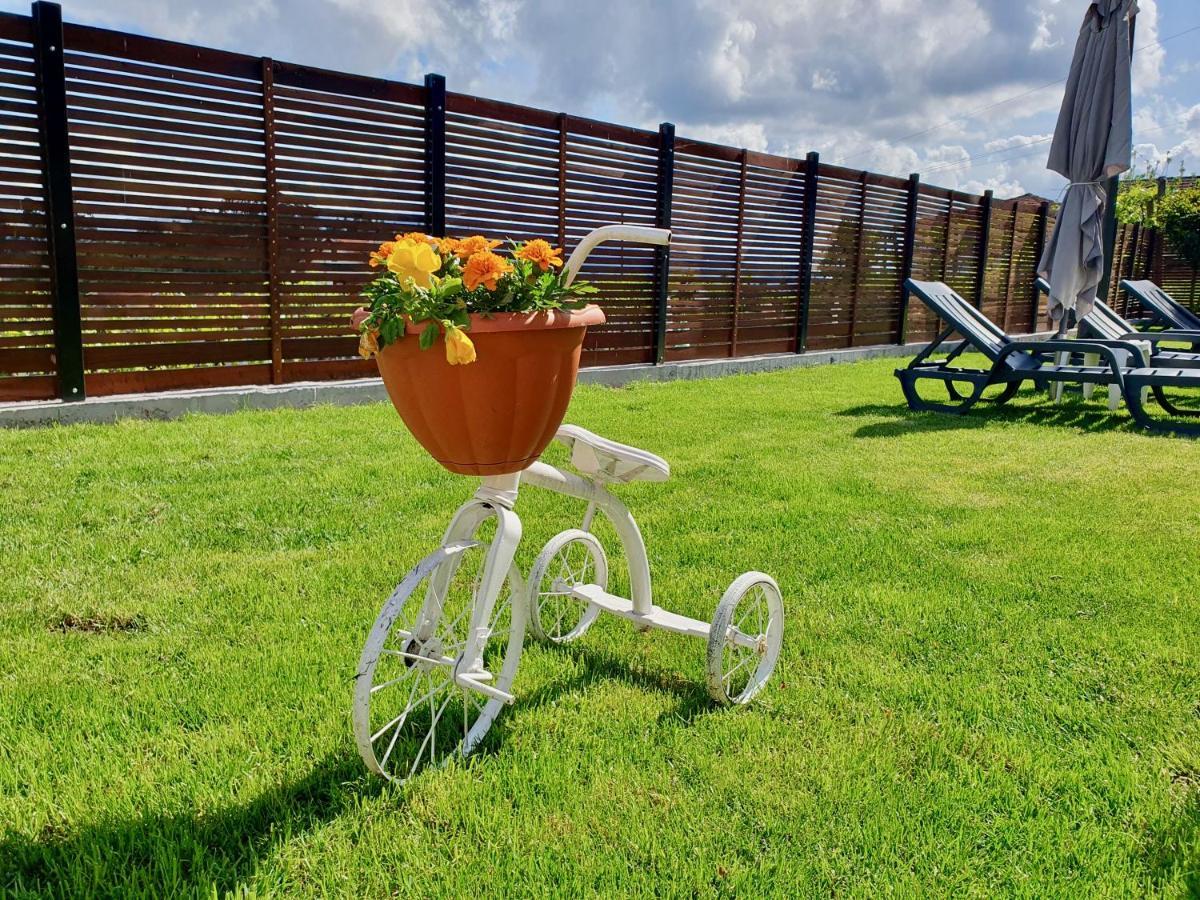 Rosinha Country House Vale de Cambra Exterior foto